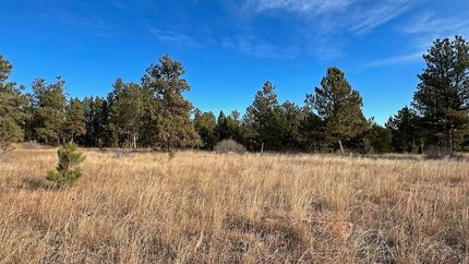 Farm and Ranch for sale in Custer County, South Dakota