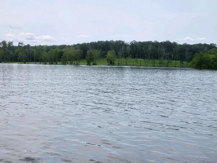 Homesite for sale in Newton County, Texas