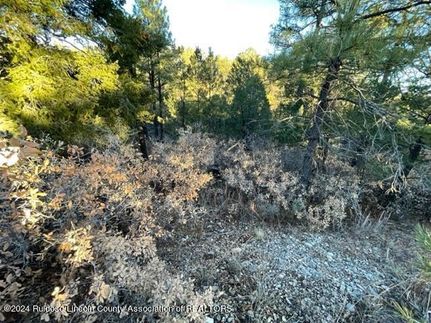 Land for sale in Otero County, New Mexico