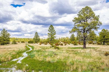 Land for sale in Apache County, Arizona