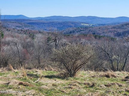 Farm and Ranch for sale in Schoharie County, New York
