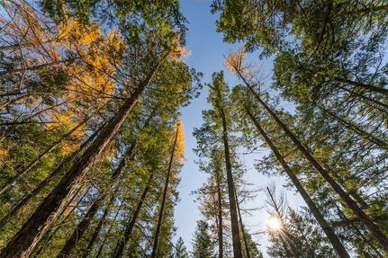 Farm and Ranch for sale in Flathead County, Montana