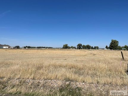 Undeveloped Land for sale in Bingham County, Idaho