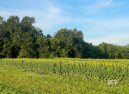 Undeveloped Land for sale in Baldwin County, Alabama