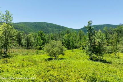 Farm and Ranch for sale in Greene County, New York