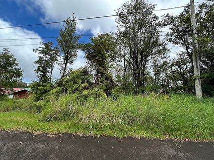 Undeveloped Land for sale in Hawaii County, Hawaii