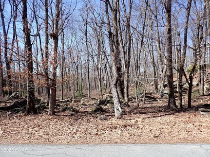 Homesite for sale in Pike County, Pennsylvania