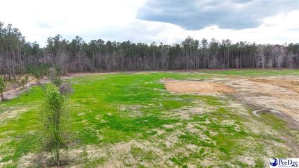 Land for sale in Florence County, South Carolina