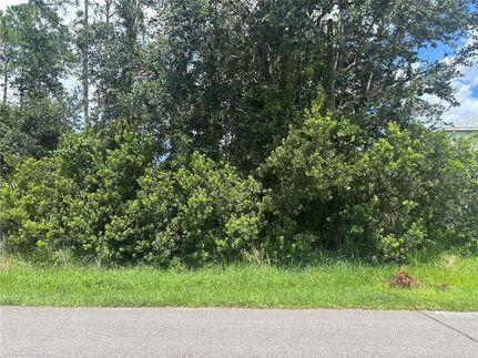 Undeveloped Land for sale in Flagler County, Florida