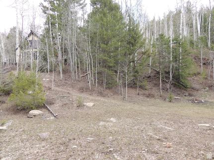Land for sale in Duchesne County, Utah