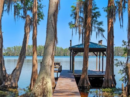 Lakefront Property for sale in Lake County, Florida