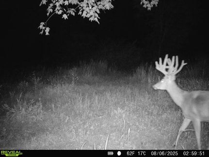 Land for sale in Jefferson County, Pennsylvania