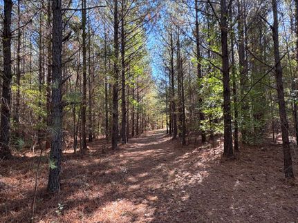 Recreational Property for sale in Macon County, Alabama