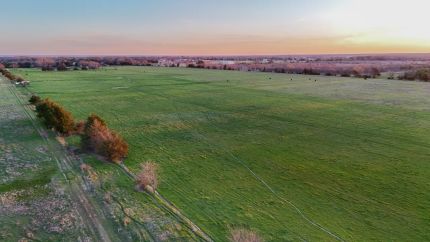 Timberland Property for sale in Fannin County, Texas