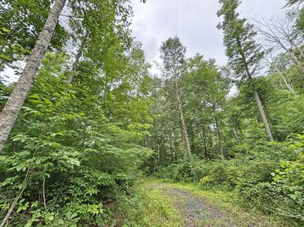 Land for sale in Summers County, West Virginia