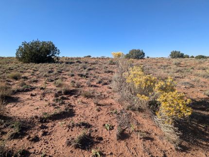 Farm and Ranch for sale in Apache County, Arizona