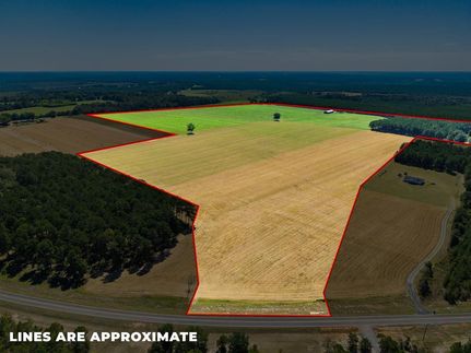 Land for sale in Marion County, Georgia