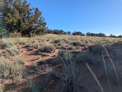 Land for sale in Apache County, Arizona