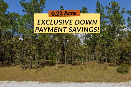 Undeveloped Land for sale in Putnam County, Florida