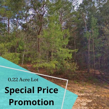 Farm and Ranch for sale in Putnam County, Florida