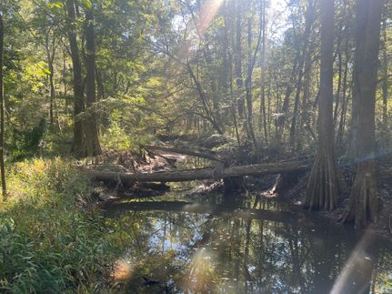 Waterfront Property for sale in Jones County, Mississippi