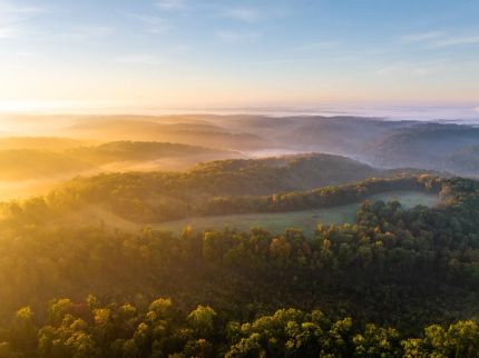 Farm and Ranch for sale in Benton County, Arkansas