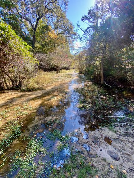 Recreational Property for sale in Houston County, Texas