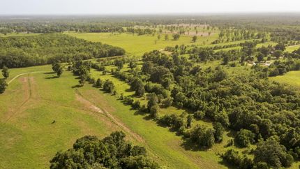 Undeveloped Land for sale in Liberty County, Texas