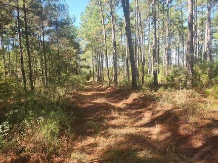 Undeveloped Land for sale in Mitchell County, Georgia