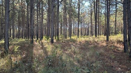 Undeveloped Land for sale in Screven County, Georgia