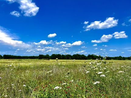 Land for sale in Collin County, Texas