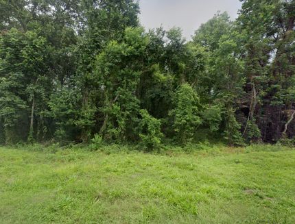 Timberland Property for sale in Liberty County, Texas