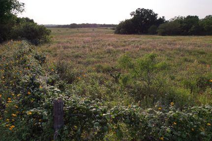 Land for sale in Wilson County, Texas