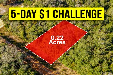 Undeveloped Land for sale in Putnam County, Florida