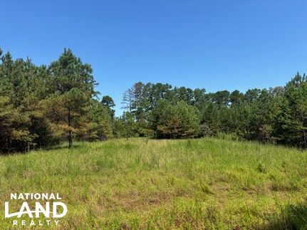 Land for sale in Noxubee County, Mississippi