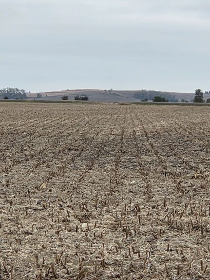 Land for sale in Union County, South Dakota