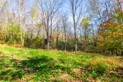 Land for sale in Coshocton County, Ohio