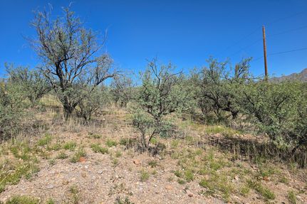 Land for sale in Santa Cruz County, Arizona