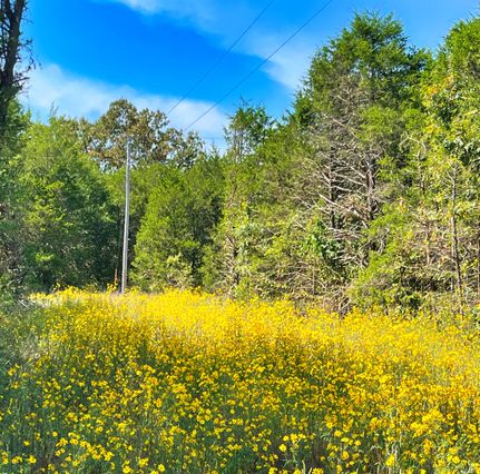 Undeveloped Land for sale in Izard County, Arkansas