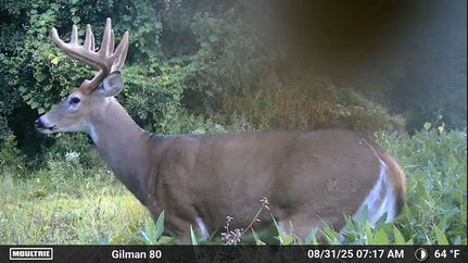 Farm and Ranch in Daviess County, Missouri