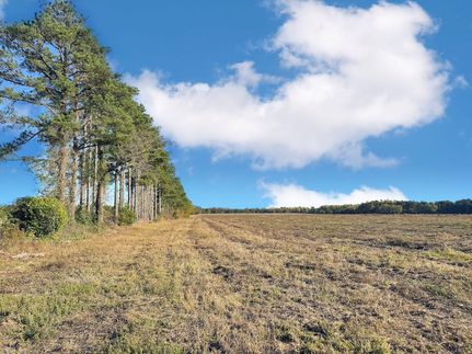 Farm and Ranch for sale in Marlboro County, South Carolina