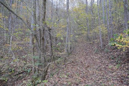 Land for sale in Scott County, Virginia