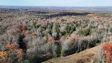 Undeveloped Land for sale in Centre County, Pennsylvania