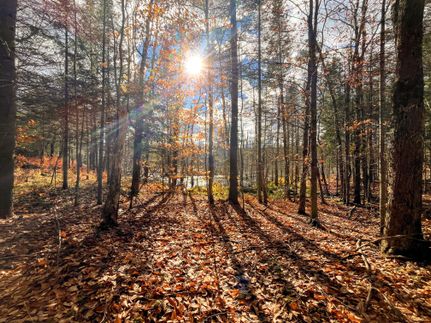 Land for sale in Saint Lawrence County, New York