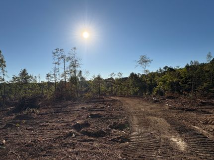 Land for sale in Tallahatchie County, Mississippi