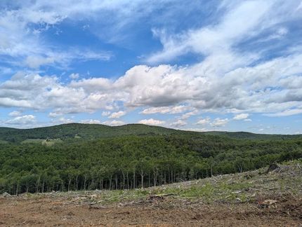 Undeveloped Land for sale in Floyd County, Virginia