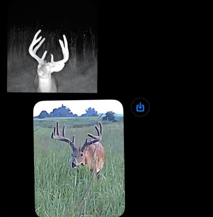 Farm and Ranch for sale in Nemaha County, Nebraska