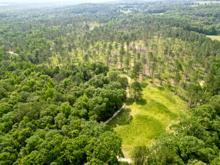 Recreational Property for sale in Pike County, Alabama