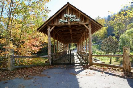 Undeveloped Land for sale in Mitchell County, North Carolina