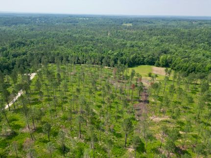 Recreational Property for sale in Pike County, Alabama